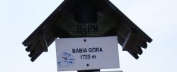 Beskid Żywiecki - Babia Góra (Diablak)