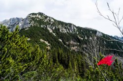 Tatry Polskie - Starobociański przez Ornak