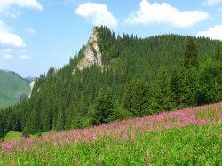 Tatry Polskie - Przez 4 tatrzańskie doliny