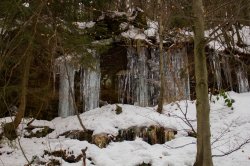 Beskid Śląski - Barania Góra z Wisła Czarne Fojtula