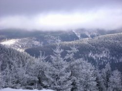 Beskid Żywiecki - Rysianka