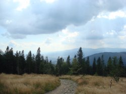 Beskid Śląski - Skrzyczne z Lipowej