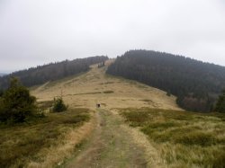 Beskid Żywiecki - Rycerka - Rycerzowa - Przegibek 