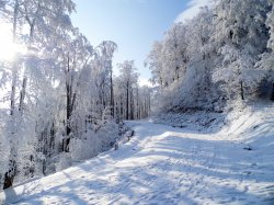 Beskid Śląski - Zimowe Beskidy - Szyndzielnia i Klimczok