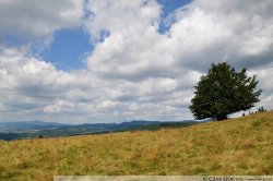 Beskid Sądecki - 4-dniowy wypad w Beskid Sądecki i Pieniny