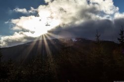 Beskid Żywiecki - Palenica i Trzy Kopce