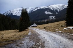 Tatry Polskie - pacer Doliną Chochołowską