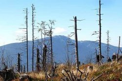 Beskid Żywiecki - Zlot na Hali Krupowej