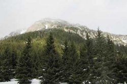 Tatry Polskie - Iwaniacka Przełęcz