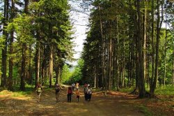 Beskid Śląski - GSB na raty, etap 02: Przełęcz Beskidek - Przełęcz Kubalonka