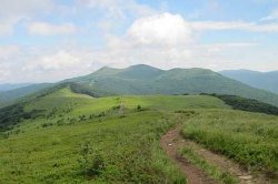 Bieszczady - Bieszczadzkie połoniny