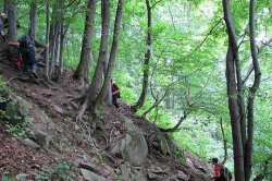 Beskid Niski - Lackowa