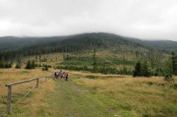 Beskid Żywiecki - GSB na raty, etap 04: Węgierska Górka - Hala Rysian...