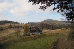 Beskid Żywiecki - W Worku Raczańskim, cz. 2 - Wielka Rycerzowa