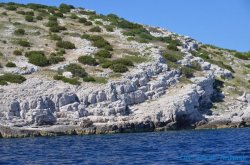 Archipelag Kornati - Fish piknik i zwiedzanie Archipelagu Kornati