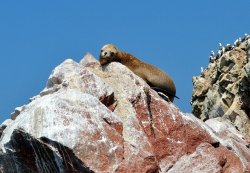 Peru - Ameryka Południowa - Peru, Boliwia cz.I