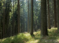 Beskid Śląski - Z Wisły Głębce do Ustronia 